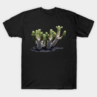 Desert Cactus T-Shirt